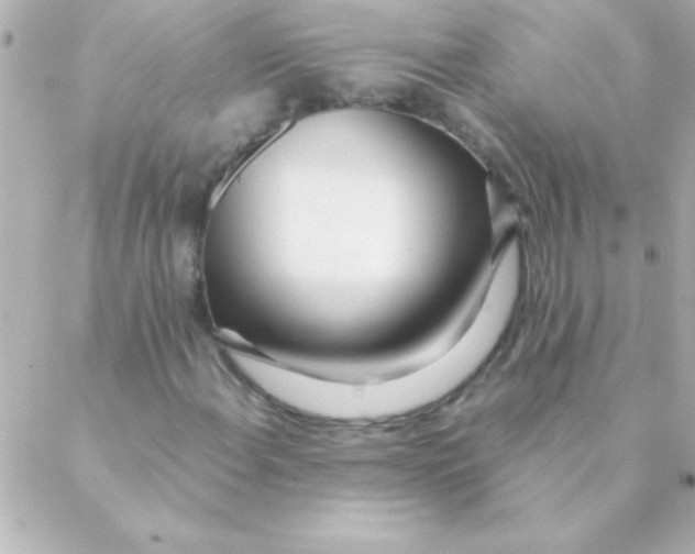 X0000088641108200706151935