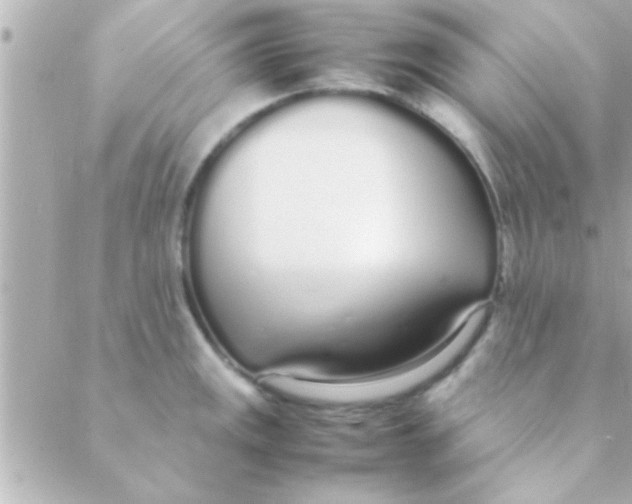 X0000088641141200706151936
