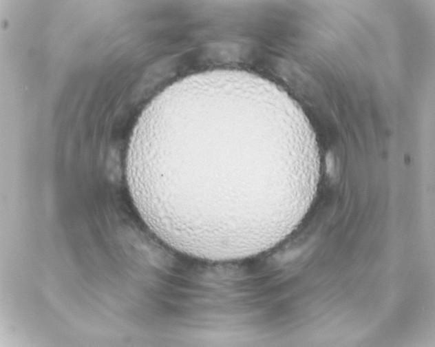 X0000088641203200706151934