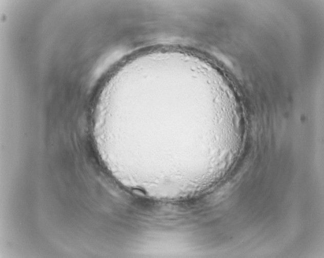 X0000088641263200706151933