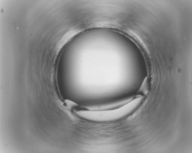 X0000088641277200706151933