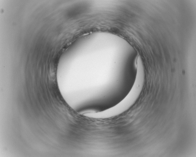 X0000088641298200706151932