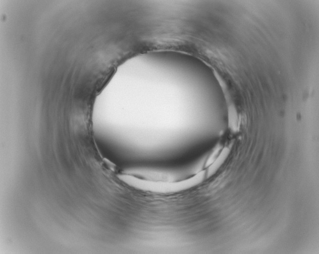 X0000088641300200706151932