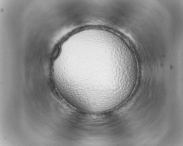 X0000088641311200706151932