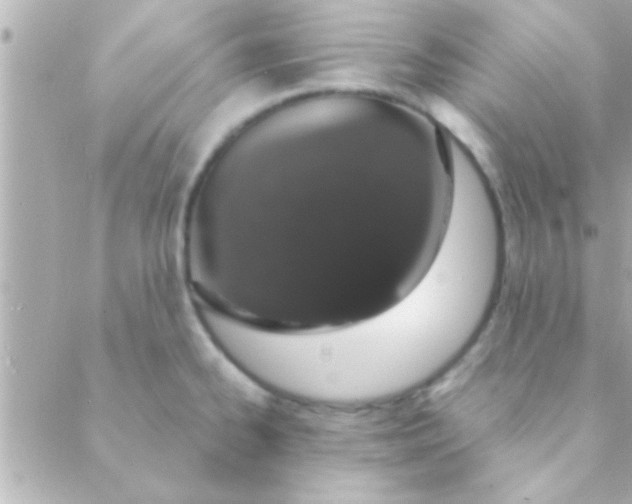 X0000088641334200706151933