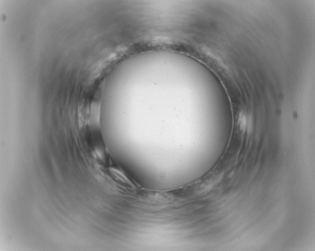 X0000088641348200706151932
