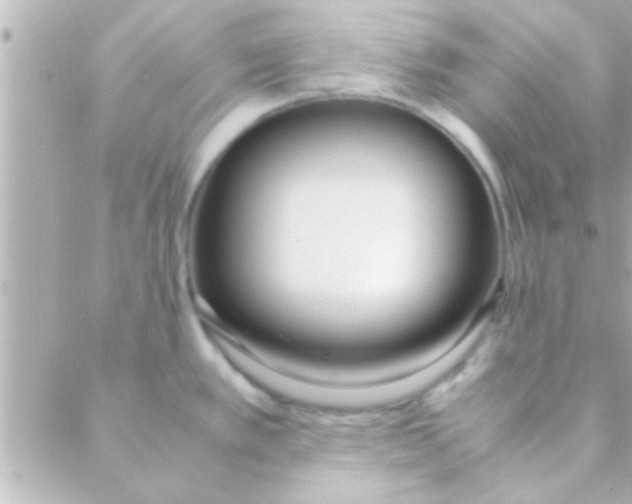 X0000088641389200706151931