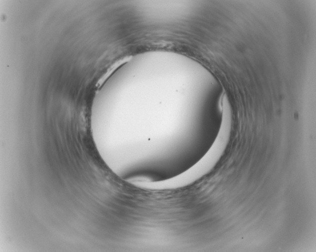 X0000088641394200706151930