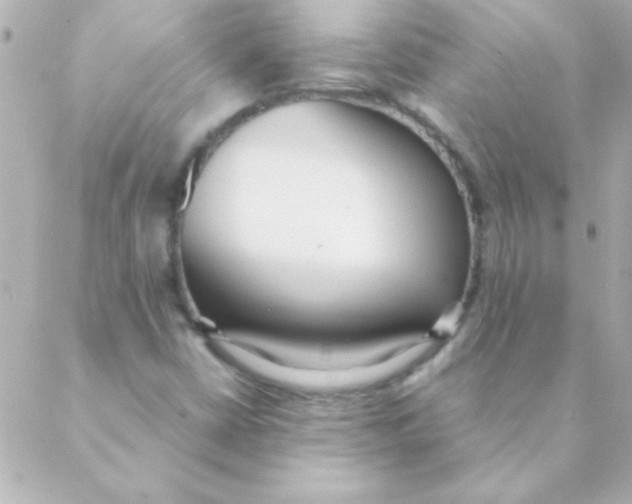 X0000088641402200706151931