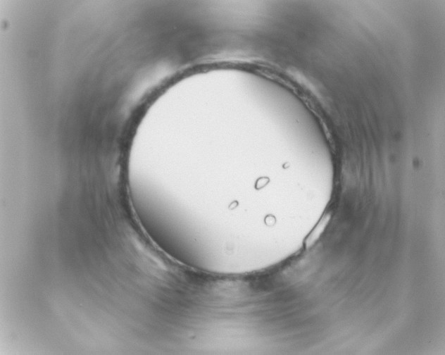 X0000088641406200706151931