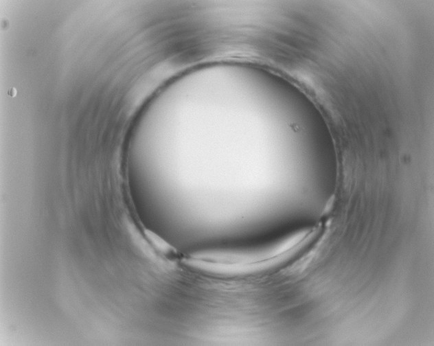 X0000088641422200706151931