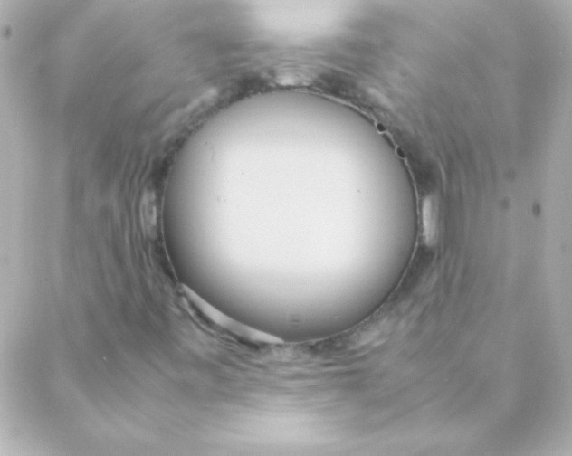 X0000088641443200706151930
