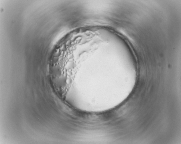 X0000088641459200706151930