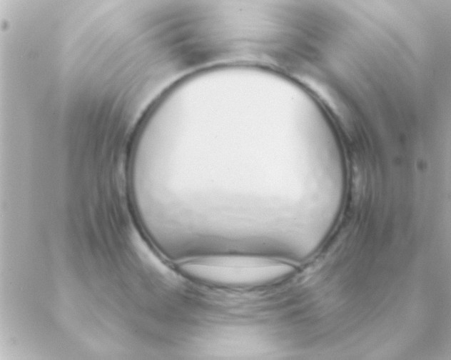 X0000088641468200706151930