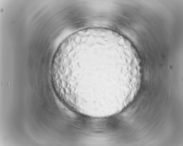 X0000088641471200706151930