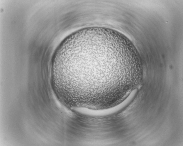 X0000088641515200706151929