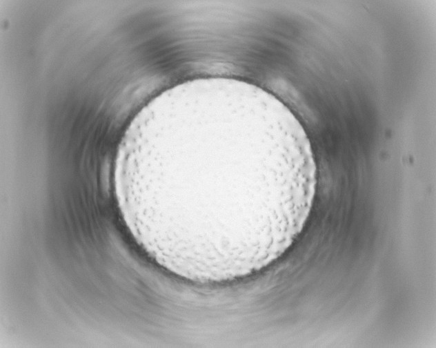 X0000088640014200706221557