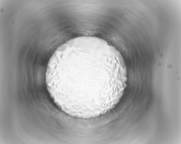 X0000088640030200706221557