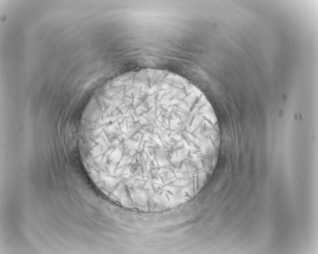 X0000088640043200706221556