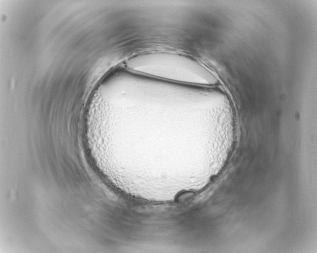 X0000088640049200706221556