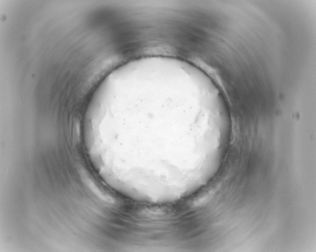 X0000088640061200706221556