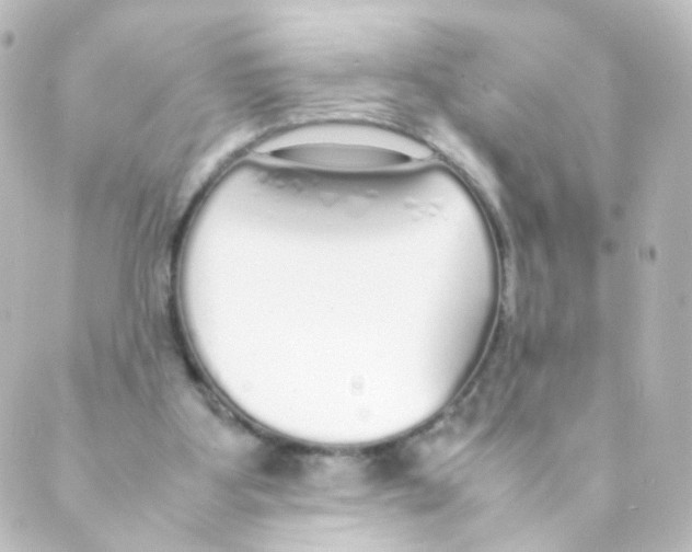 X0000088640107200706221555