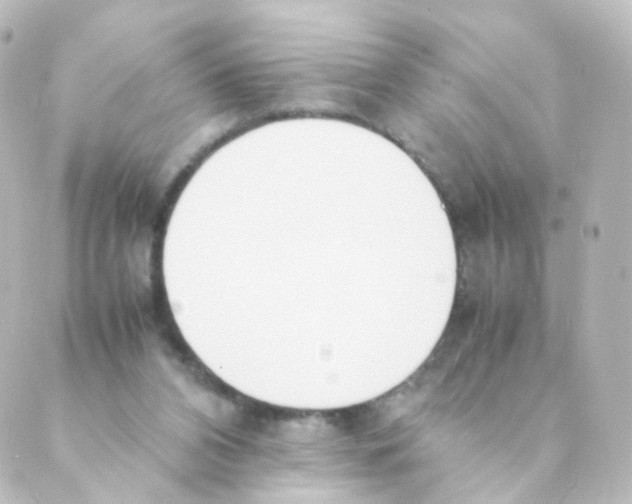 X0000088640112200706221555