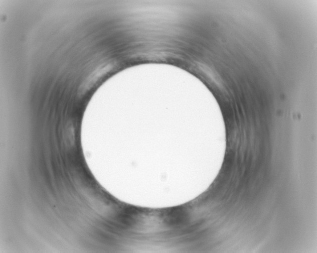 X0000088640120200706221555