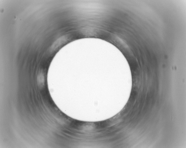 X0000088640124200706221555