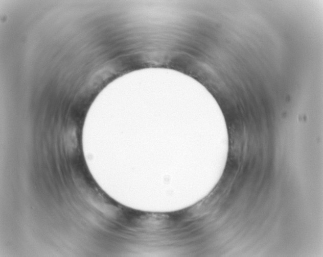 X0000088640128200706221555