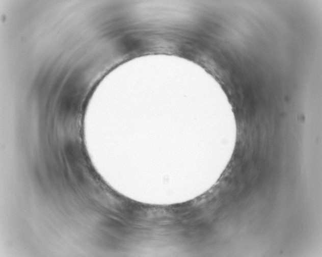 X0000088640146200706221554