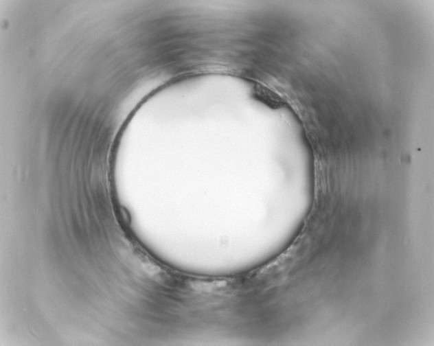 X0000088640147200706221554