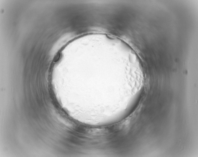 X0000088640151200706221554