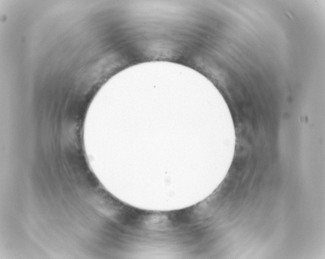 X0000088640162200706221554