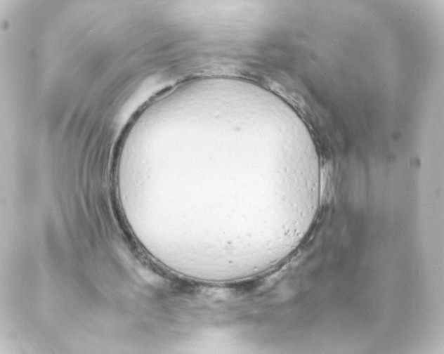 X0000088640195200706221554