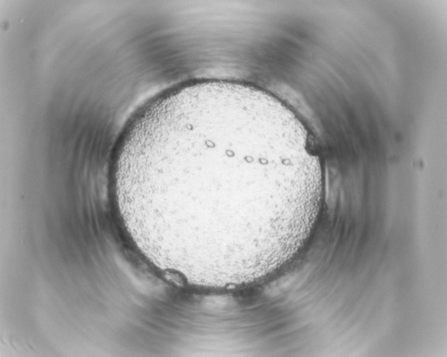 X0000088640204200706221554