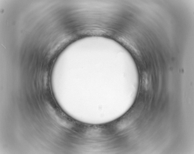 X0000088640206200706221554