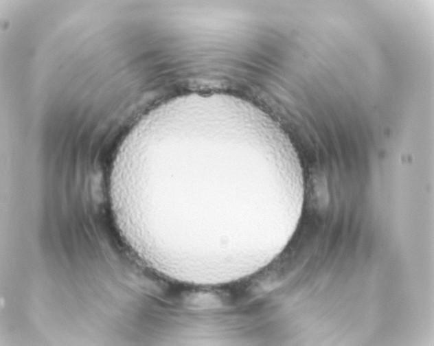 X0000088640224200706221553