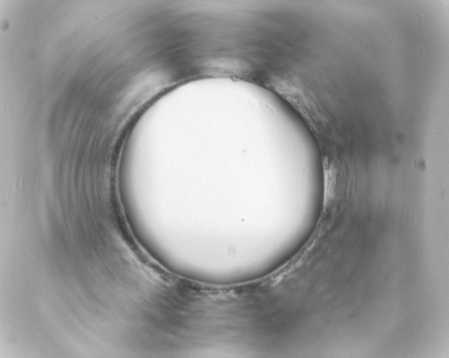 X0000088640243200706221552