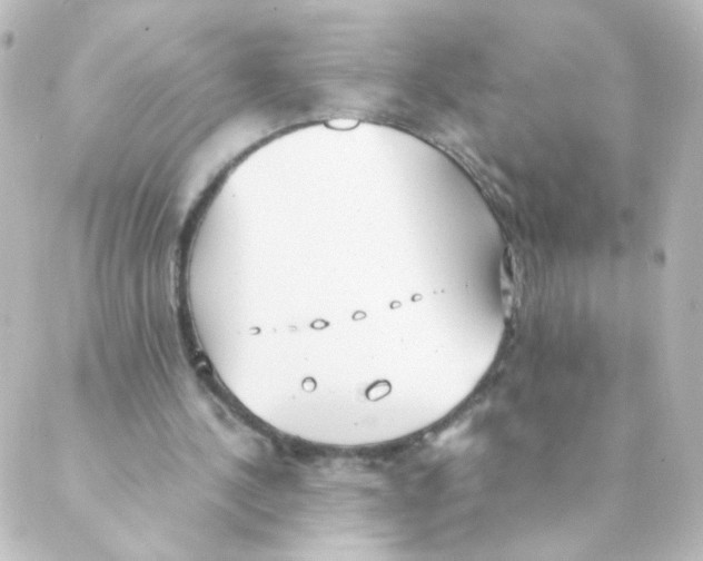 X0000088640244200706221552