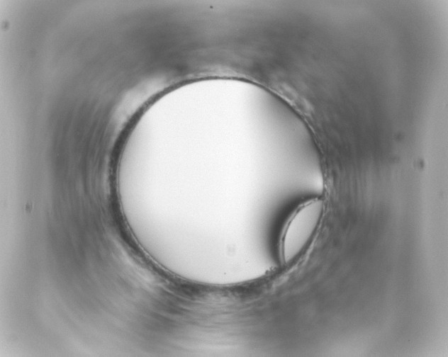 X0000088640248200706221553
