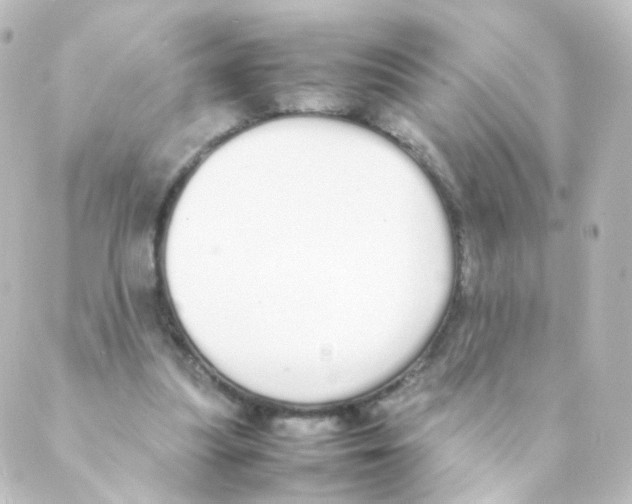X0000088640251200706221553