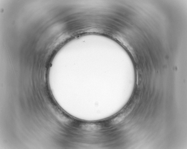 X0000088640253200706221553