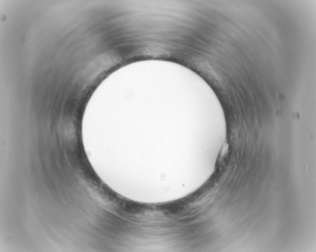 X0000088640256200706221553