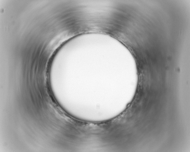 X0000088640290200706221552