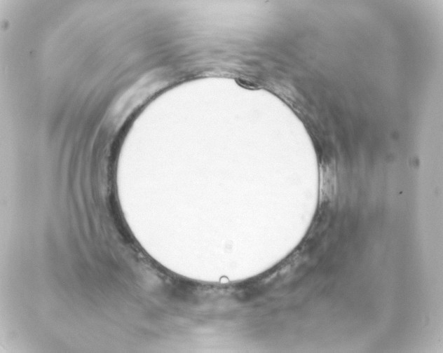 X0000088640291200706221552
