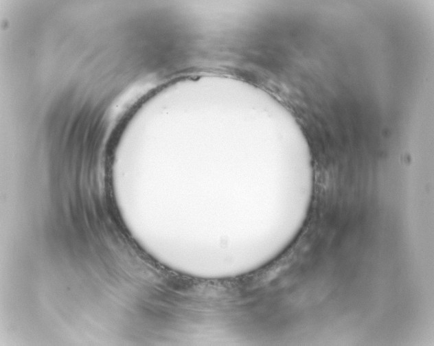 X0000088640294200706221552