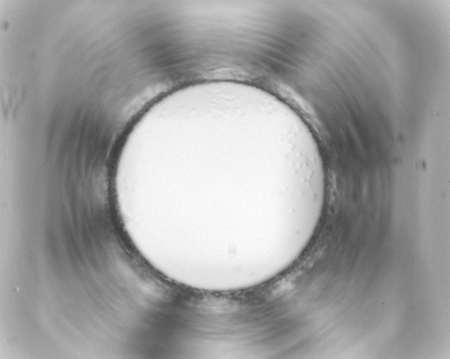 X0000088640298200706221552