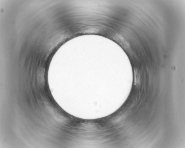 X0000088640300200706221552