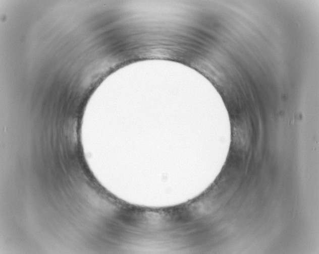 X0000088640302200706221552